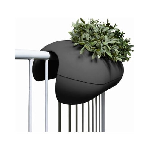 rephorm Balkonsko korito Balconismo Cene