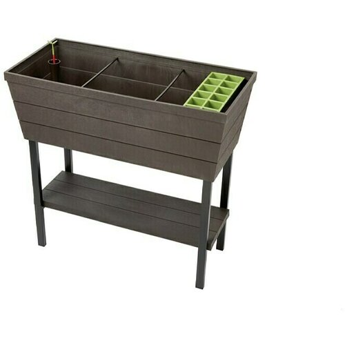 Keter visoka gredica elevado Bloomer (D x Š x V: 82 x 37,3 x 78 cm, Plastika) Cijene