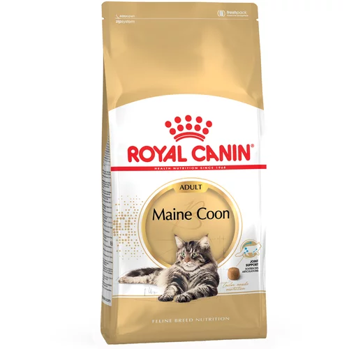 Royal Canin Maine Coon Adult - 4 kg