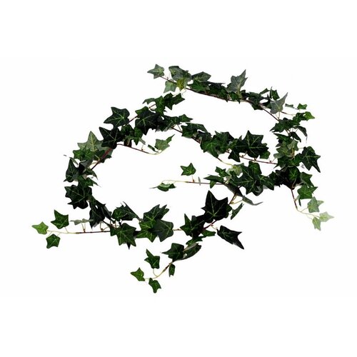  Girlanda hedera 180 cm Slike
