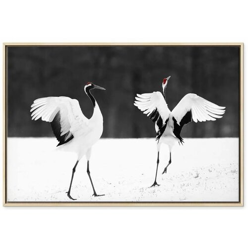  Slika - Dancing Cranes (1 Part) Wide 90x60 U prirodnom drvenom okviru Slike