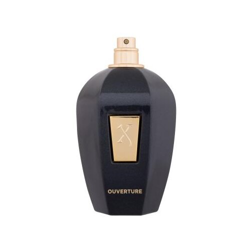 Xerjoff Ouverture parfumska voda 100 ml unisex Slike