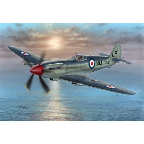 Special-Hobby Supermarine Seafire Mk.45, (21287184) Slike