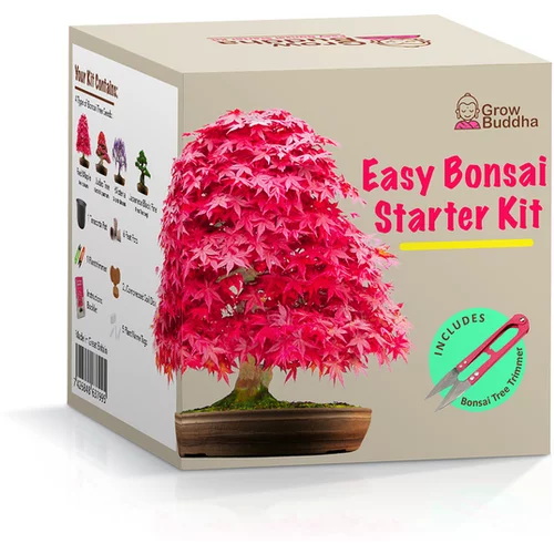 GROW_BUDDHA GROW BUDDHA set - bonsai, gojenje 4 vrst rastlin + 2 vrsti g
