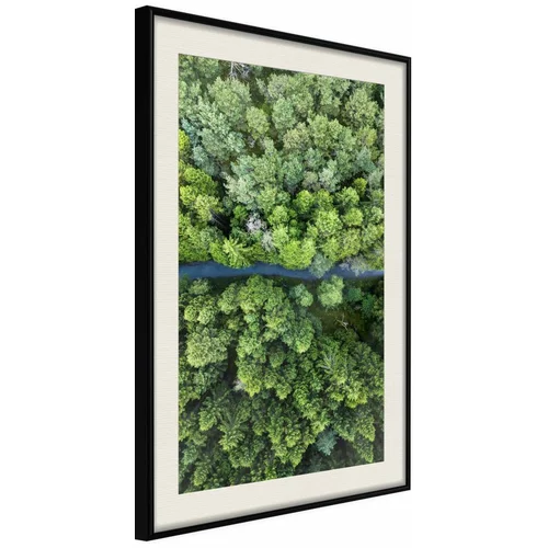  Poster - Forest from a Bird's Eye View 40x60
