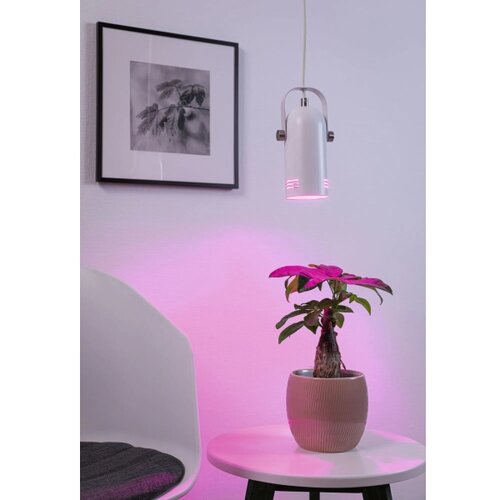 PAULMANN 79767 - led rgbw 1xE27/15W visilica na sajli lavea 230V bela Slike