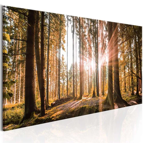  Slika - Small Natural Wonders 120x40