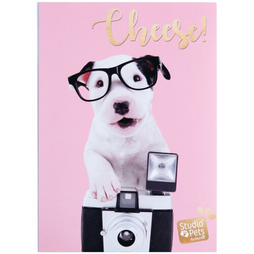 Grupo ALBUM FOTO SOFT 36 BOLSILOS 10X15CM STUDIO PETS DOG CHARLIE, (20874150) Cene