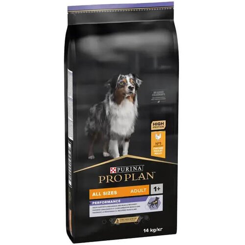 Purina PRO PLAN Performance All Size Adult Chicken - hrana za veoma aktivne odrasle pse svih rasa sa piletinom (14kg) Slike