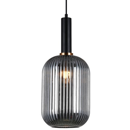  ITALUX PND-5588-1L-BK+SG - Luster na sajli ANTIOLA 1xE27/40W/230V crna Slike