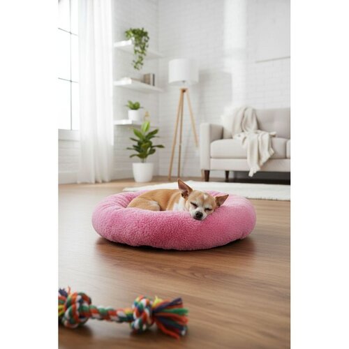 Paws &amp; Whiskers Krevet za ljubimce Pugalo, 65 × 65 × 15 cm, Roze Cene