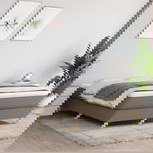 The Living Store Box spring postelja z vzmetnico taupe 120x200 cm blago - Box Spring Postelja, (21512611) Slike