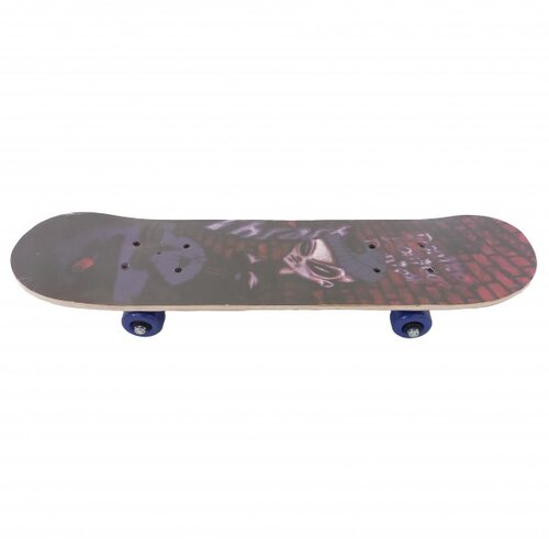Thema Sport Dečiji skejtbord TS-2406 Motiv 5 Cene