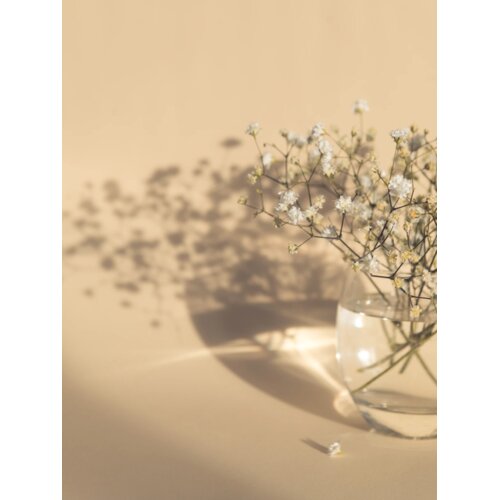 Venture Home poster White Flowers 30 × 40 cm, bež Cene