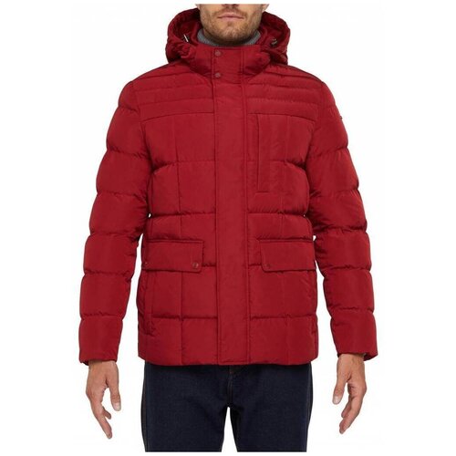 Geox M HILSTONE Bordo Slike