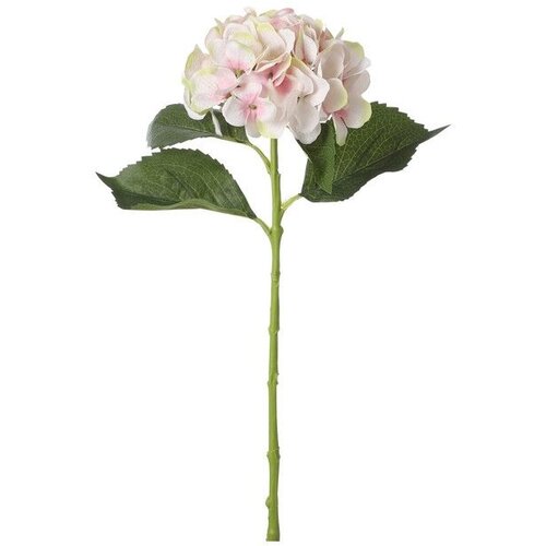  Cvet HYDRANGEA 51cm 1073214 - Light Pink - EDL Cene