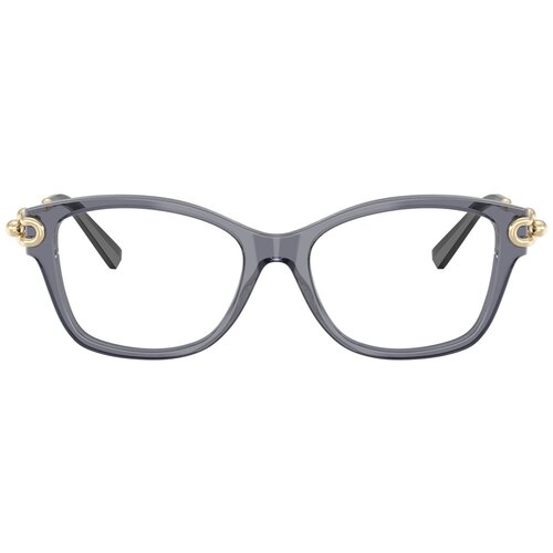 Tiffany Naočare TF 2266 8405 Cene