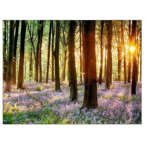 ProArt Young Living Slika na platnu (Š x V: 120 x 90 cm) Cijene