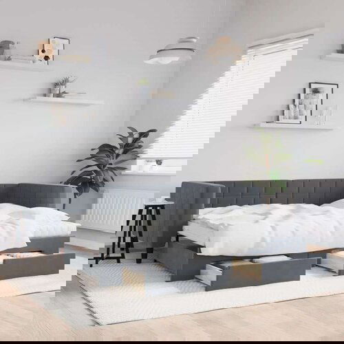 vidaXL Dnevni krevet na razvlačenje tamnosivi 90 x 200 cm baršunasti Cijene
