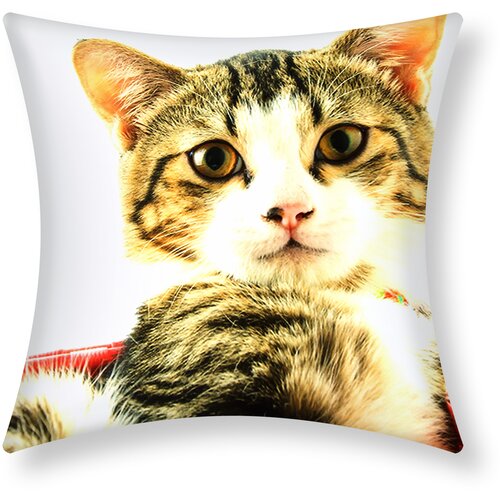 AVIZAR Komplet 2 prevlek za blazine 40x40 cm Mačka Design Rožnata ko&scaron;ara, Večbarvno, (21747255) Cene