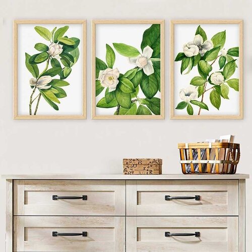Wallity Set uramljenih slika 3NTC_526079865, 3 dijela Cene