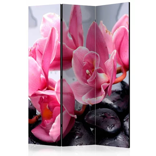  Paravan u 3 dijela - Orchid flowers with zen stones [Room Dividers] 135x172