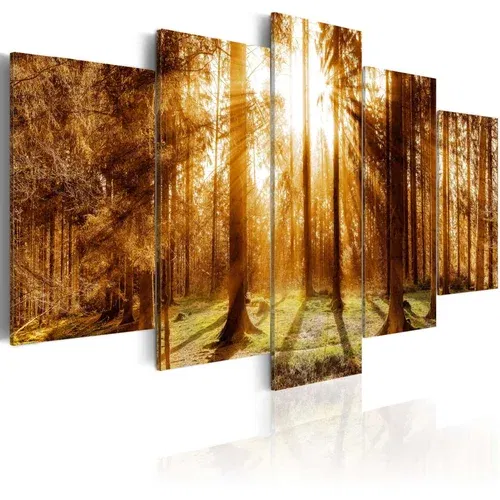  Slika - Forest Illumination 100x50