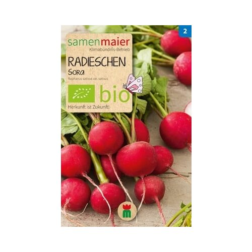 Samen Maier BIO redkvica Sora Cene
