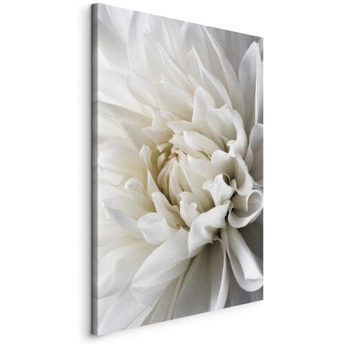  Slika - White Dahlia 40x60 Cene