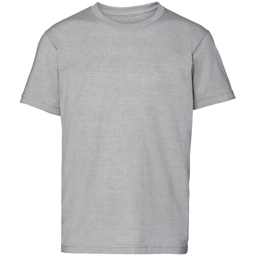 RUSSELL Light grey HD Children's T-shirt Slike