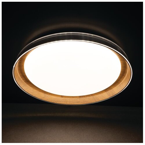 Kanlux 37317 - LED plafonsko svetlo NIFU LED/17,8W/230V prečnik 43 cm bela/smeđa Cene