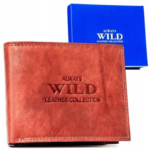 Always Wild AWN992MAL73654 sarena Cijene