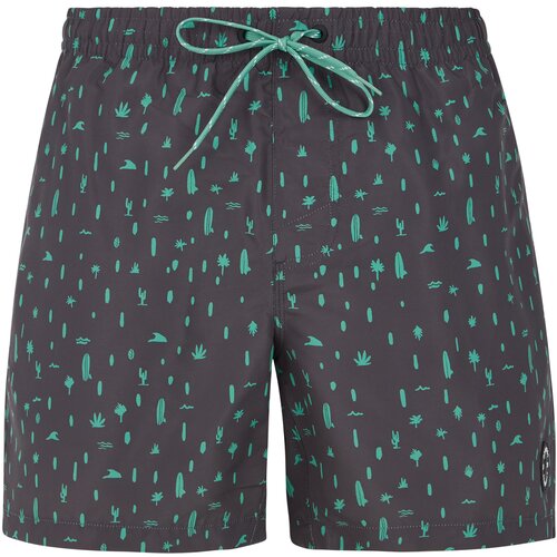  Men&amp;#039;s beach shorts PRTGROM Slike