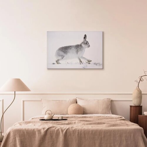  Slika - Hare (1 Part) Wide 90x60 Standard Cene