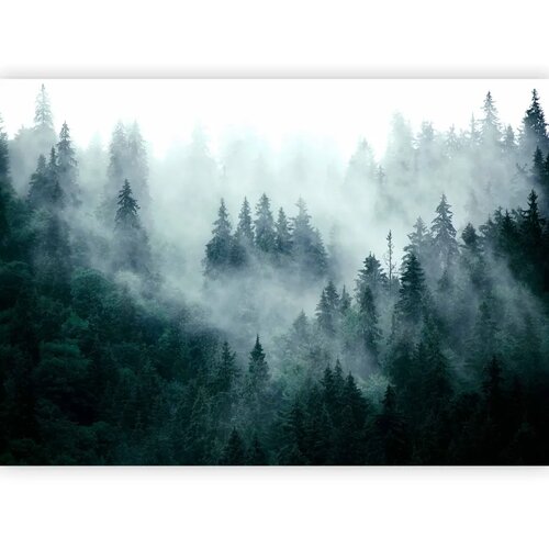  Foto tapeta - Mountain Forest (Dark Green) 500x350 Standard Cene