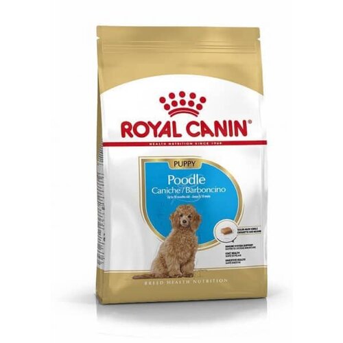 Royal Canin puppy poodle hrana za štence, 500g Cene