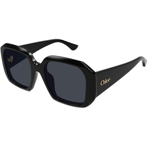 Chloe CH0300S 001 - ONE SIZE (54) Slike