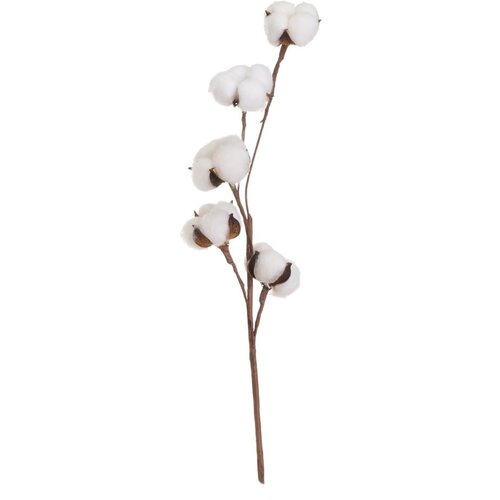 Casa Selección Umjetna suha biljka (visina 55 cm) Cotton – Cijene