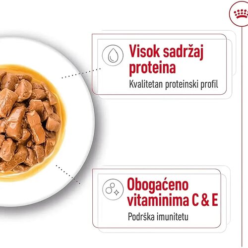 Royal Canin Medium Adult 10x140g &ndash; Vlažna hrana za pse Cene