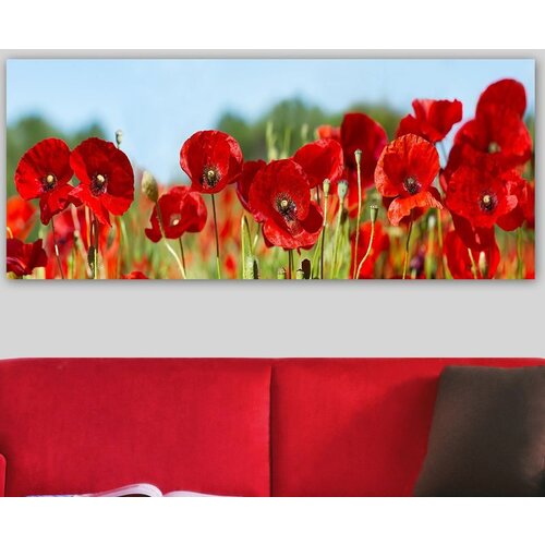 WALLXPERT YTY1006066429_50120 šareno dekorativno platno za slikanje Cene
