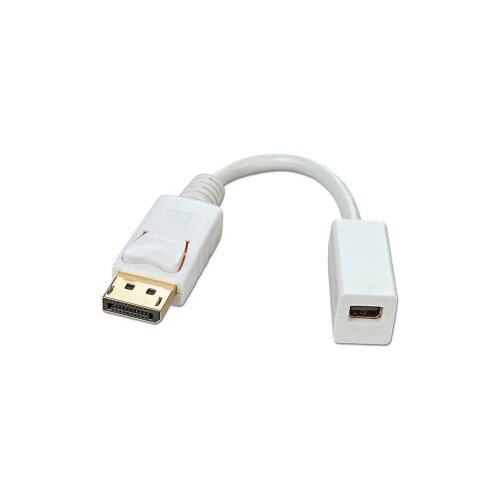 Lindy 41060 DisplayPort / Mini-DisplayPort adapterski kabel [1x muški konektor DisplayPort - 1x ženski konektor mini displayport] bijela 15.00 cm Cijene