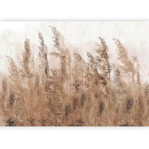 Artgeist Foto tapeta - Tall Grasses - Brown 150x105 Cijene