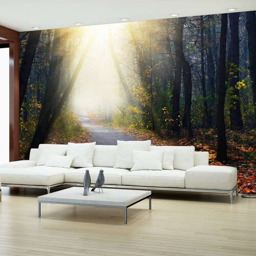  Samoljepljiva foto tapeta - Road through the Forest 294x210 Slike