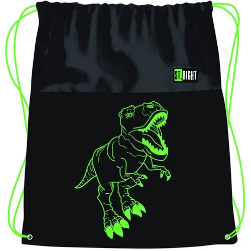 Unipap st.right t-rex dinosaurus uzorkom torba za teretanu, sportska torba 43x32cm Cijene