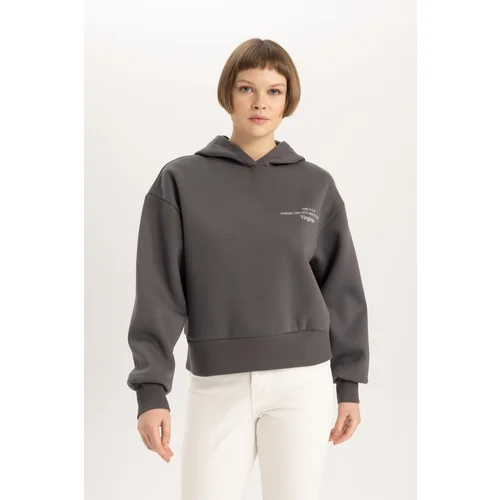 Defacto Relax Fit Hooded Thick Sweatshirt