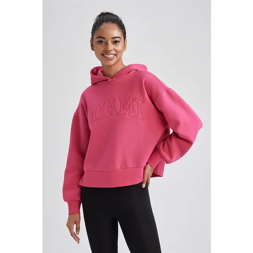 Defacto Fit Hooded Thick Sweatshirt