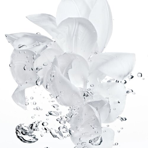 Christian Dior Hydra Life Intense Sorbet Creme dnevna krema za obraz za suho kožo 50 ml za ženske Slike