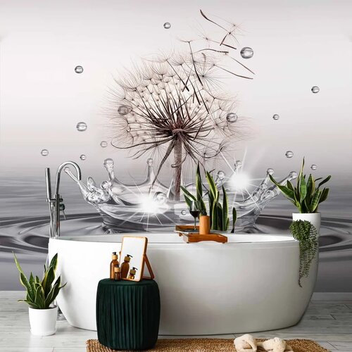  Foto tapeta - Wind Drops 150x105 Cene