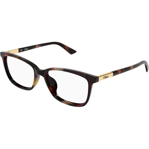 Chloe CH0371OA 002 - ONE SIZE (55) Cijene