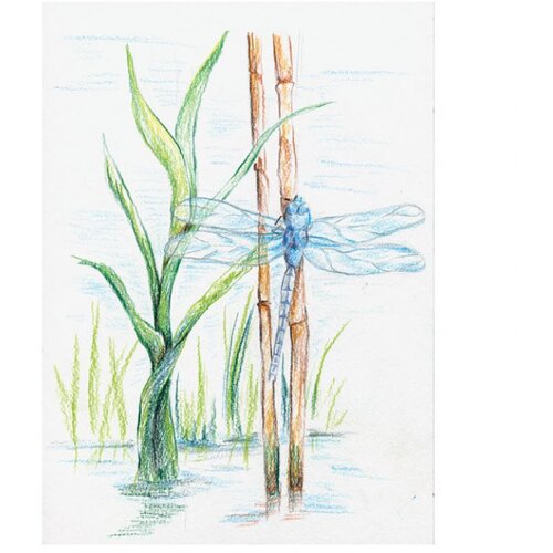  BOJE DRVENE-VODENE 24BOJE METALNA KUTIJA AQUARELL DESIGN JOURNEY STAEDTLER 14610C M24 Slike